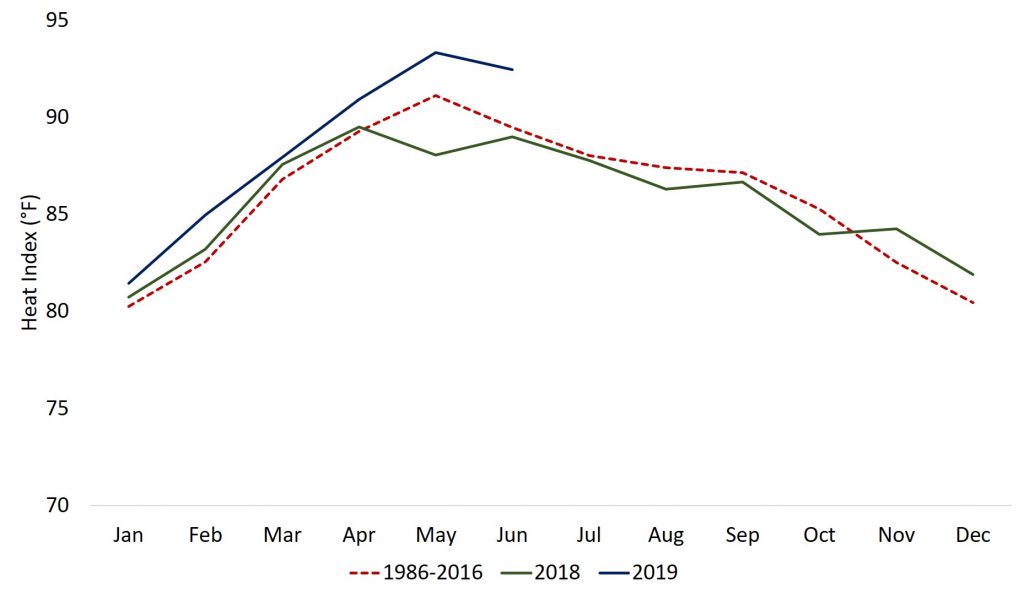 Monthly variation of Heat Index